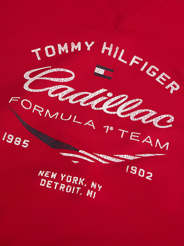 1 Team Logo Hoody